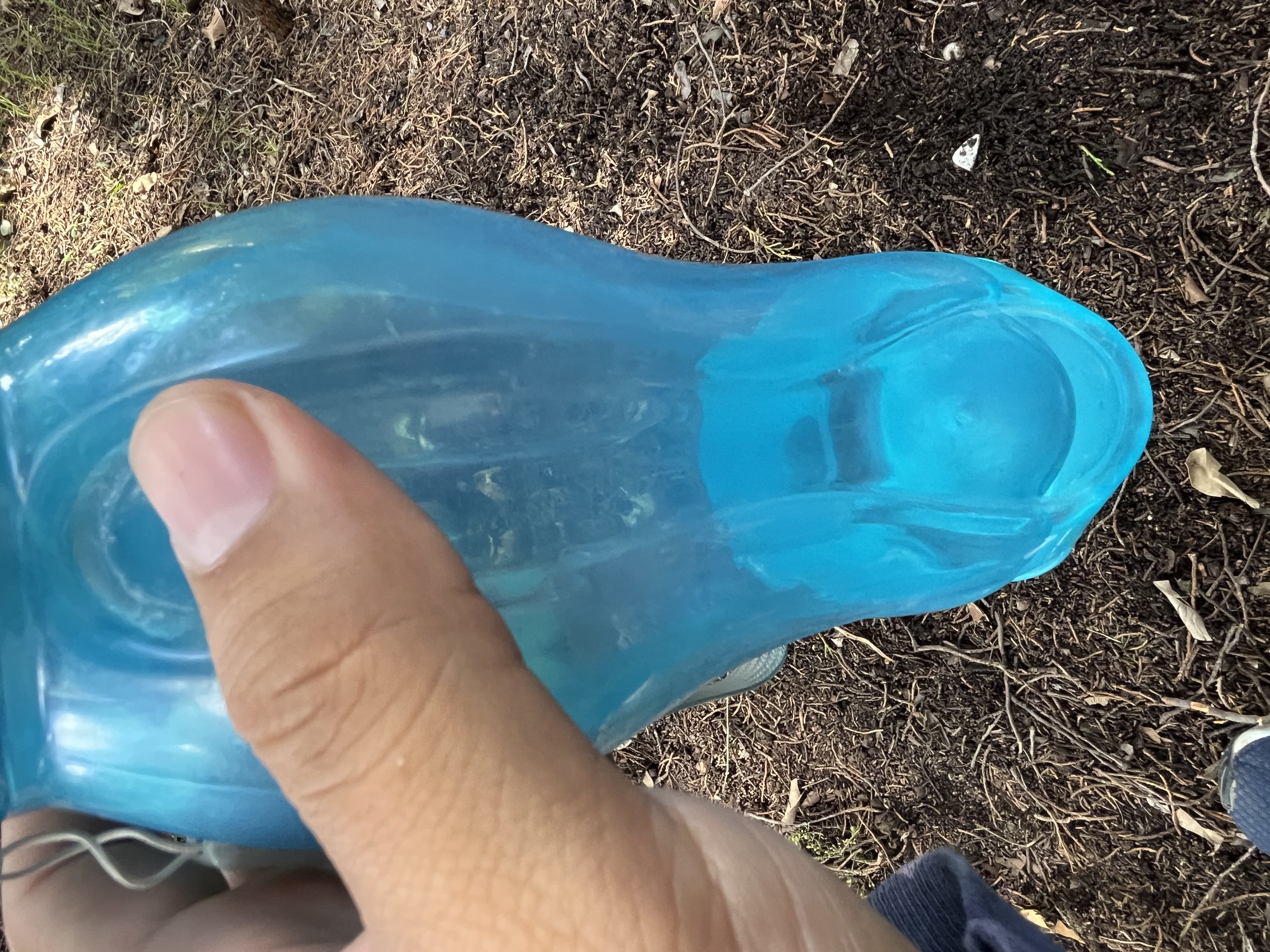 Botella